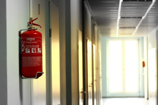 6e188e_184094ef972d405e841cfaef84396bfd~mv2